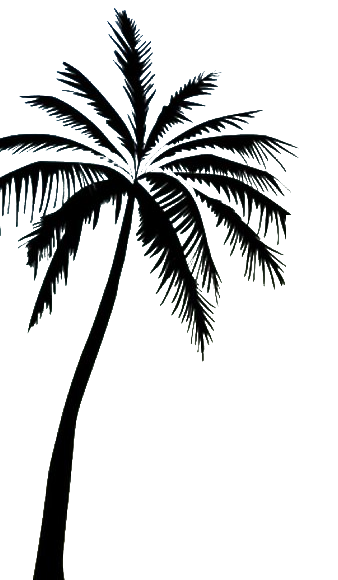 eth safari palm