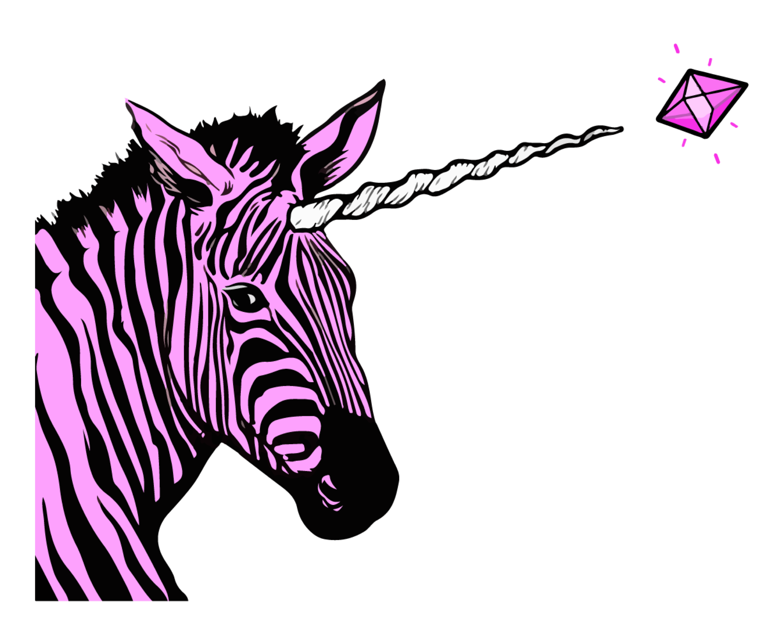 eth safari zebra overlay
